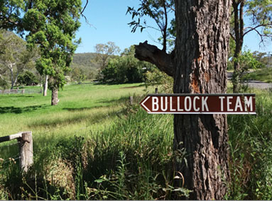 Bullock Team sign