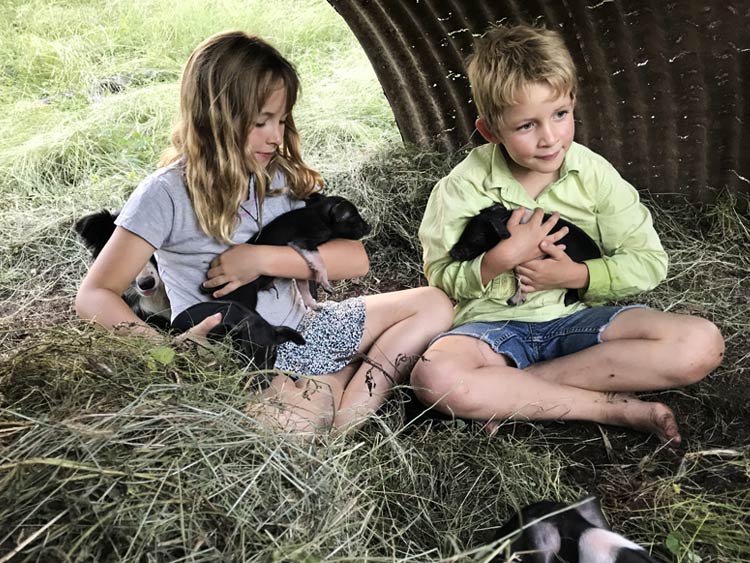 Eden and Jethro with piglets